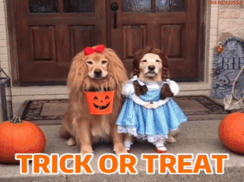 halloween-trick-or-treat